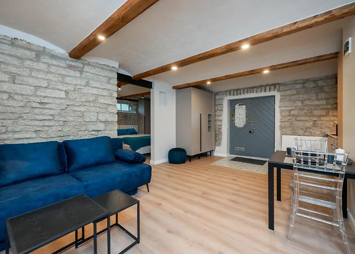 Kalamaja 公寓 塔林